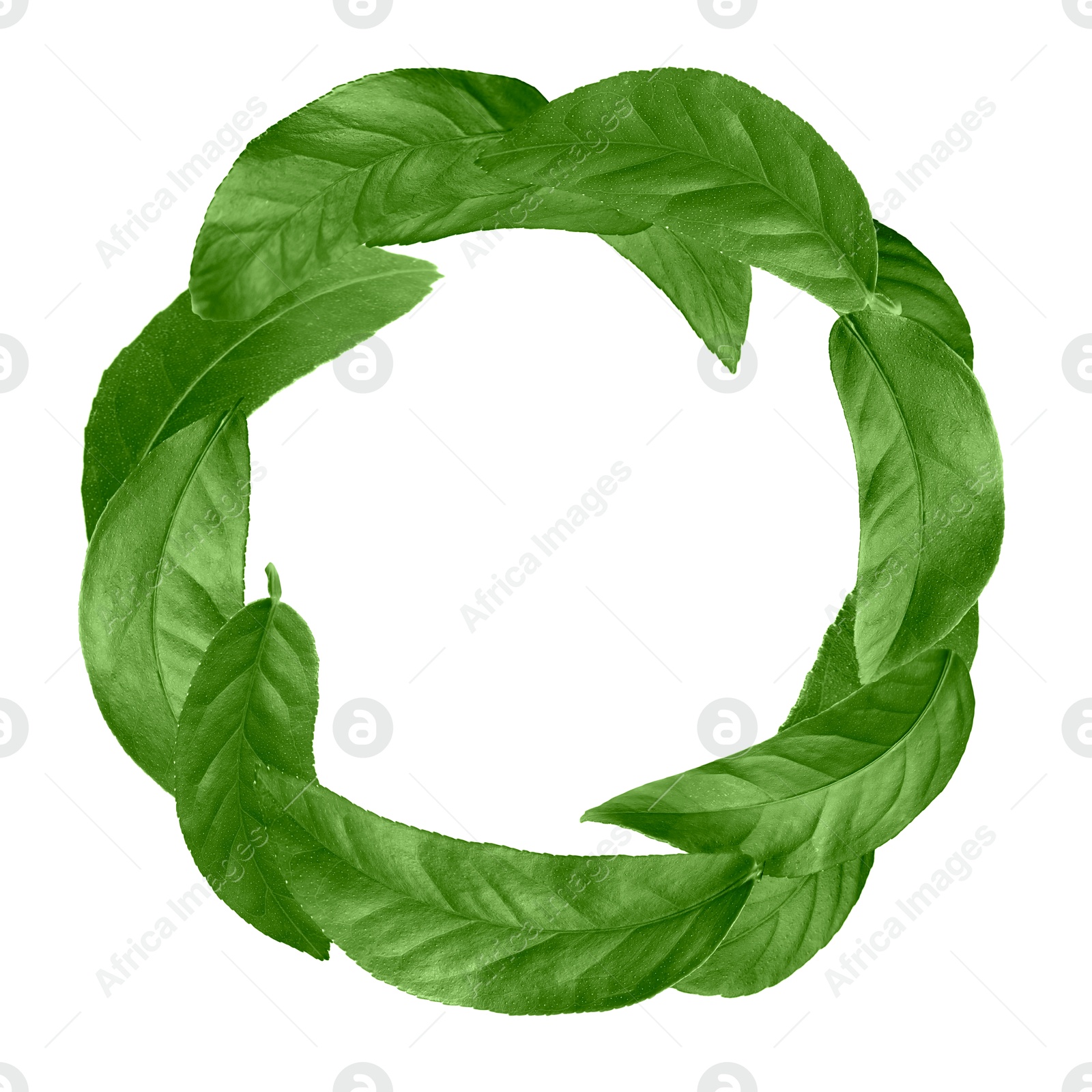 Image of Green leaves swirling in air on white background