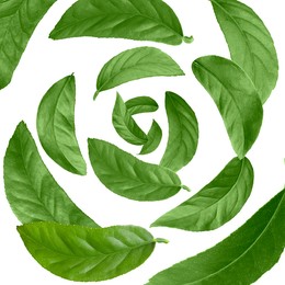 Image of Green leaves swirling in air on white background