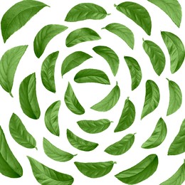 Image of Green leaves swirling in air on white background