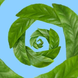 Image of Green leaves swirling in air on blue background