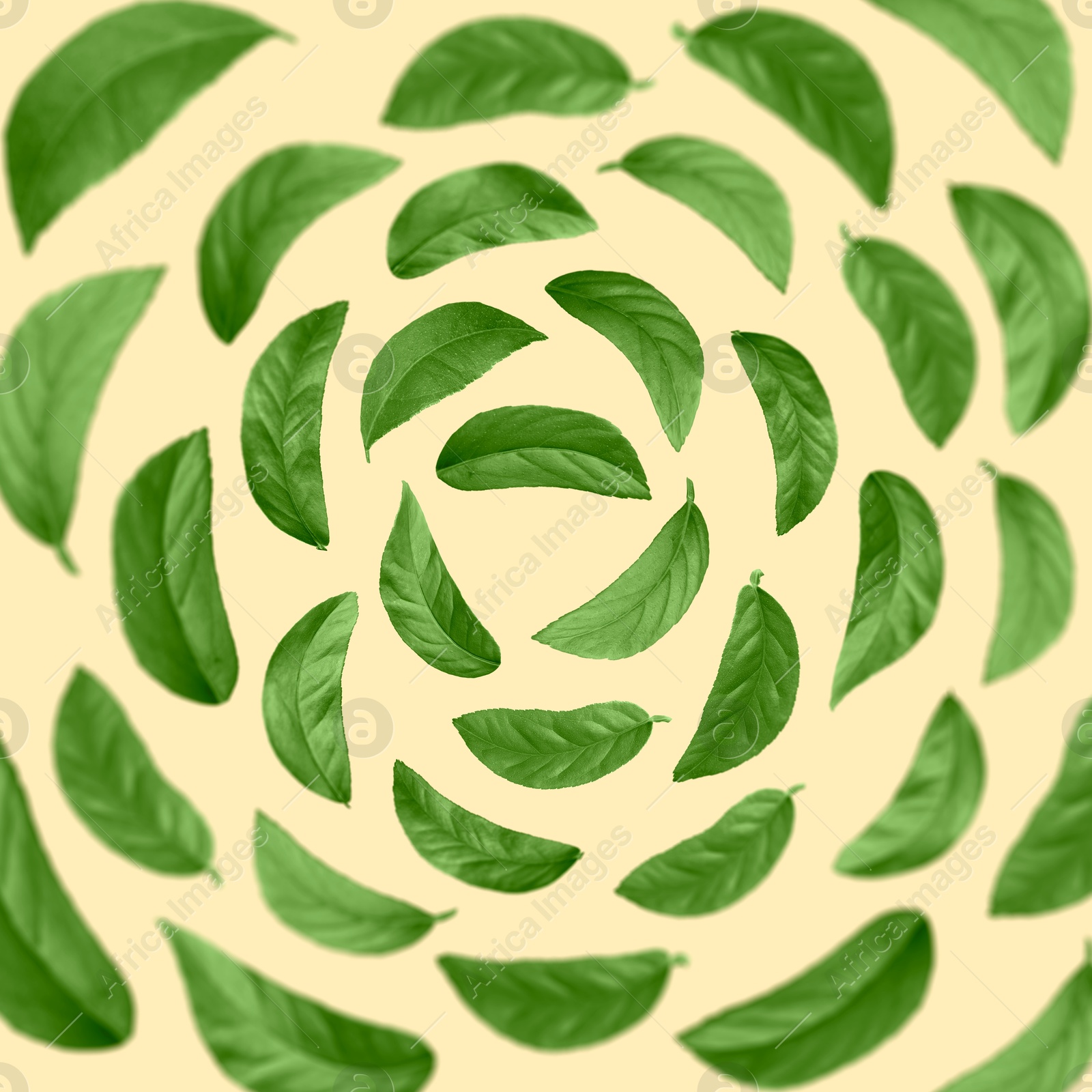 Image of Green leaves swirling in air on beige background