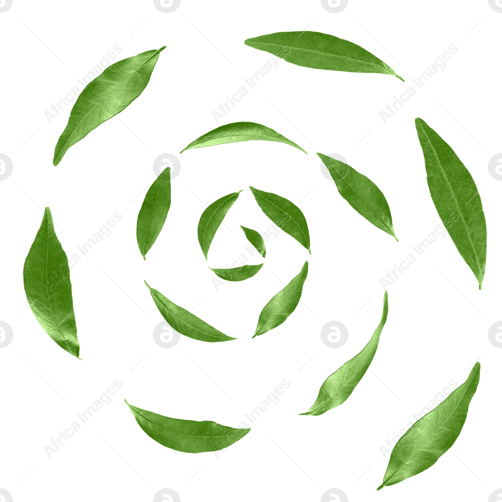 Image of Green leaves swirling in air on white background