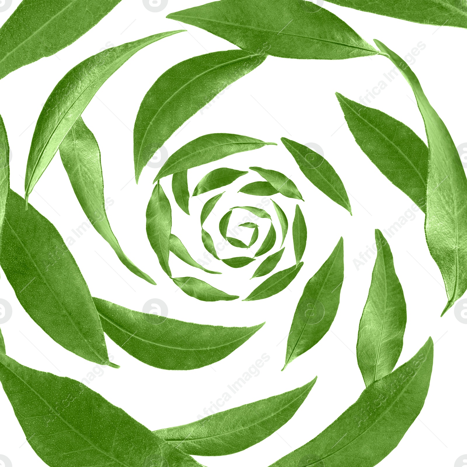 Image of Green leaves swirling in air on white background