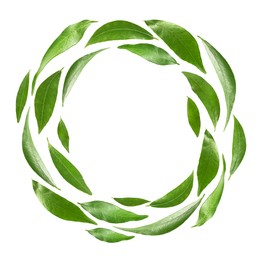 Image of Green leaves swirling in air on white background