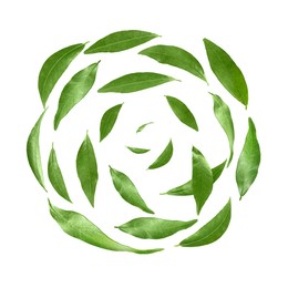 Image of Green leaves swirling in air on white background