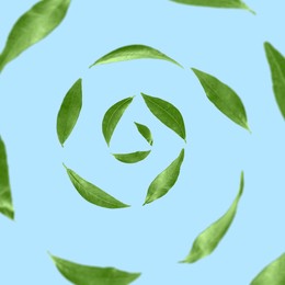 Image of Green leaves swirling in air on light blue background