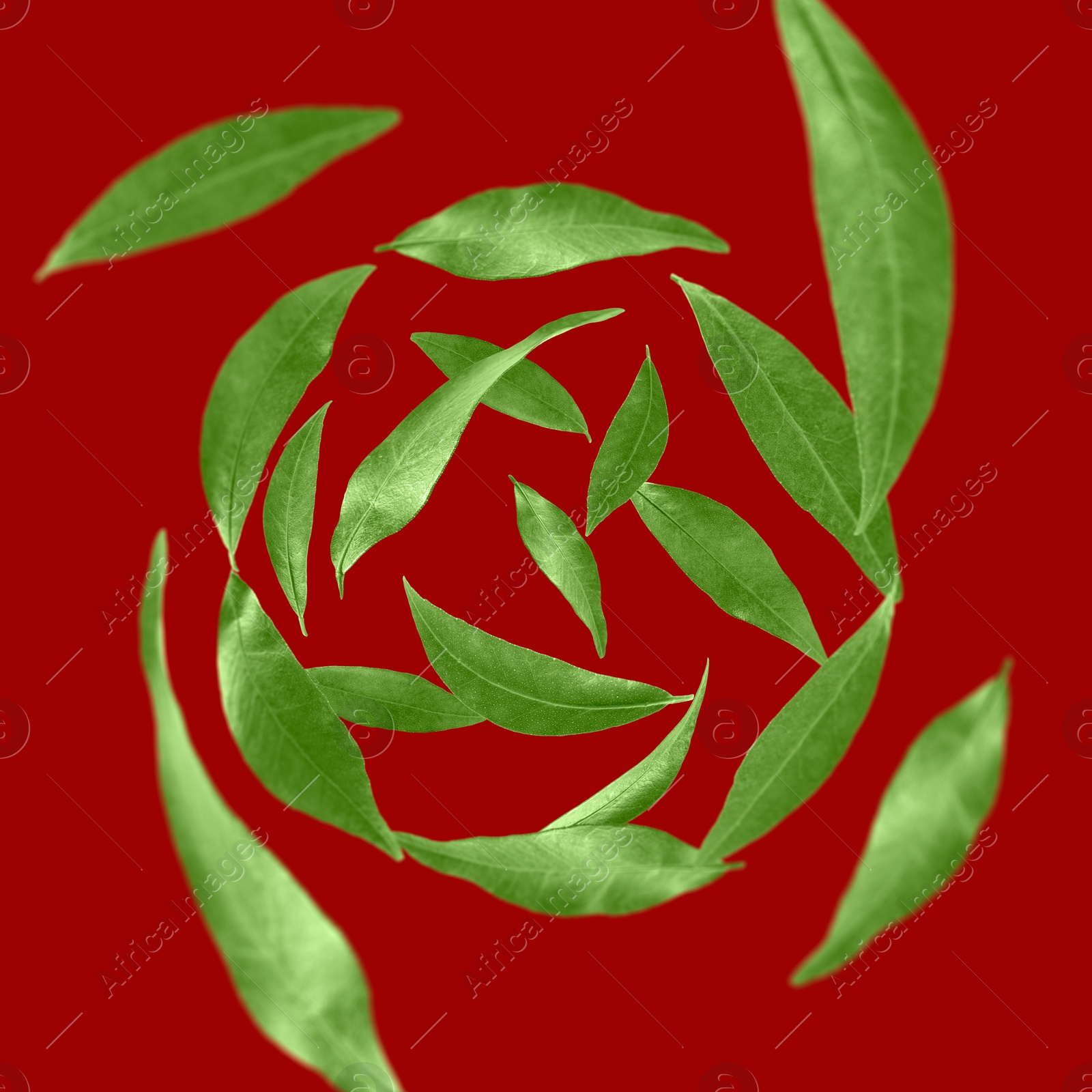 Image of Green leaves swirling in air on dark red background