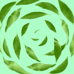 Green leaves swirling in air on turquoise background