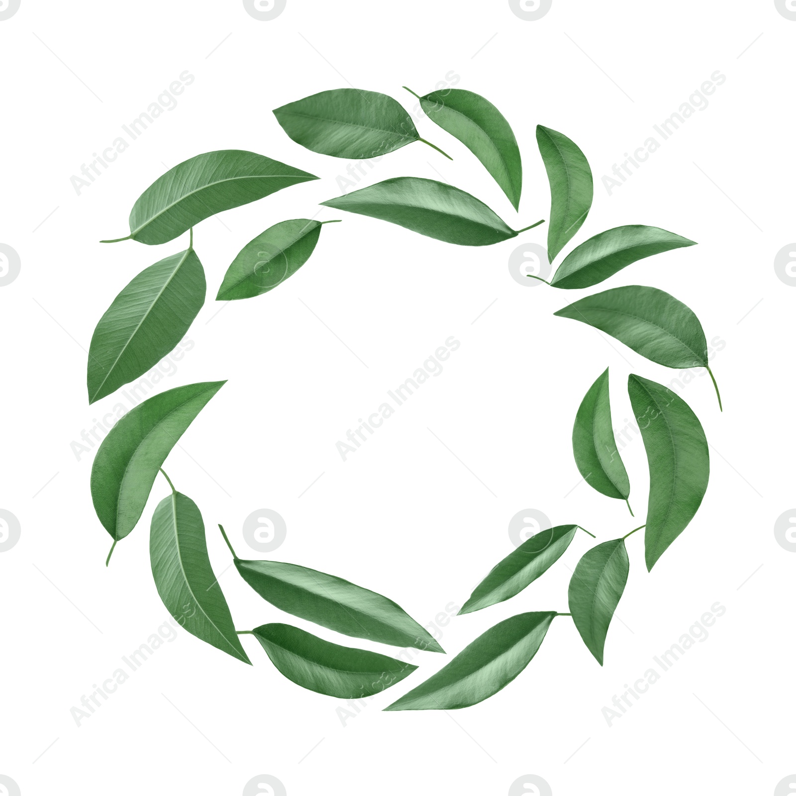 Image of Green leaves swirling in air on white background