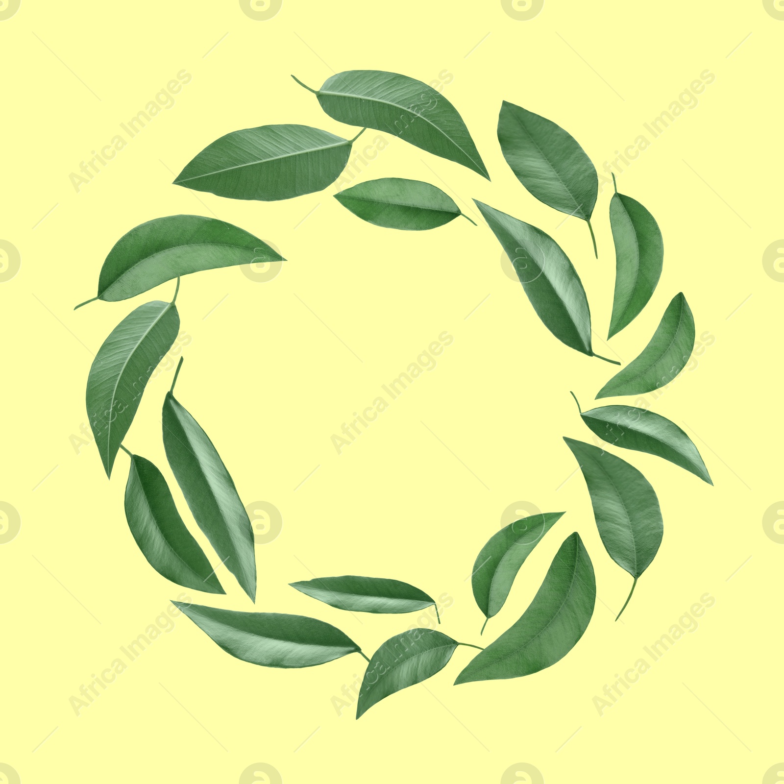 Image of Green leaves swirling in air on beige background