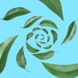 Image of Green leaves swirling in air on light blue background