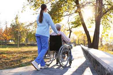 Photo of Caregiver with elderly woman in wheelchair at park, back view