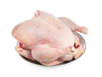 Photo of One whole raw turkey isolated on white