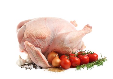 Photo of Whole raw turkey and ingredients isolated on white