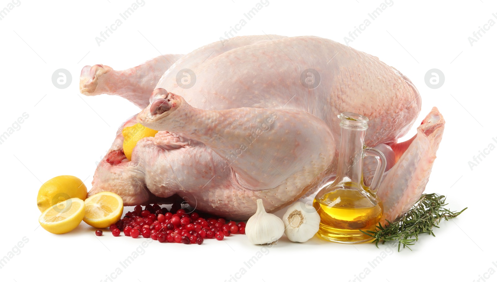 Photo of Whole raw turkey and ingredients isolated on white