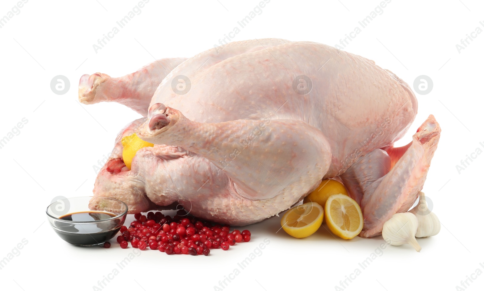 Photo of Whole raw turkey and ingredients isolated on white