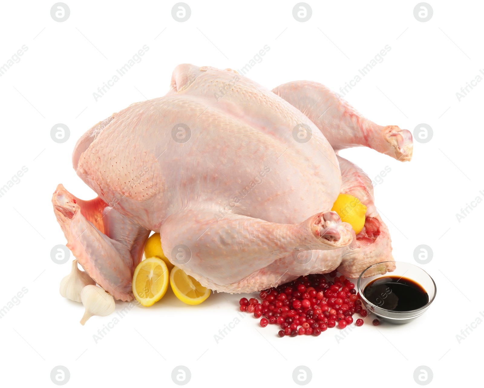 Photo of Whole raw turkey and ingredients isolated on white