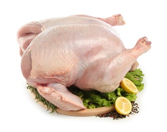 Photo of Whole raw turkey and ingredients isolated on white