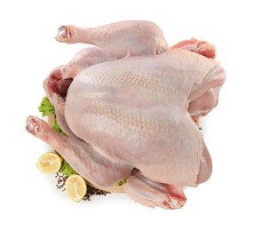 Photo of Whole raw turkey and ingredients isolated on white, top view