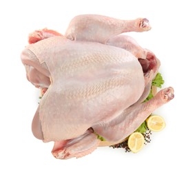 Photo of Whole raw turkey and ingredients isolated on white, top view