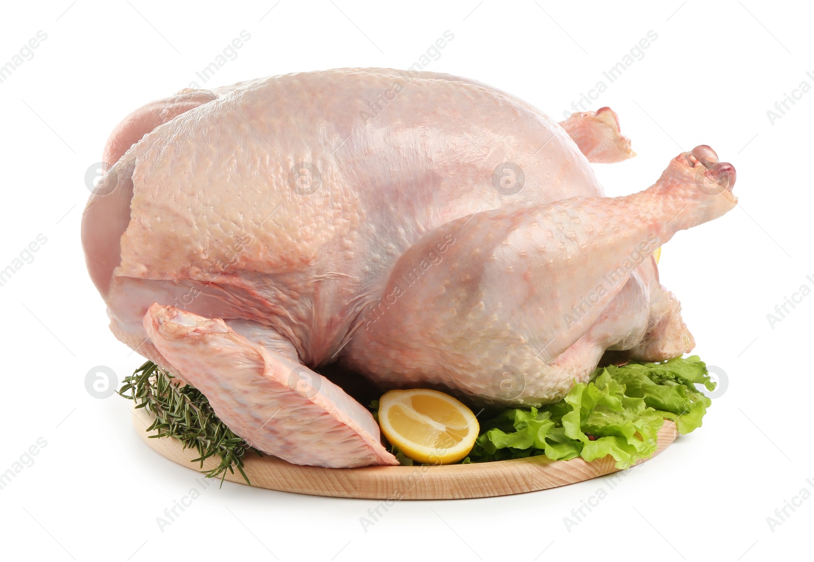 Photo of Whole raw turkey and ingredients isolated on white