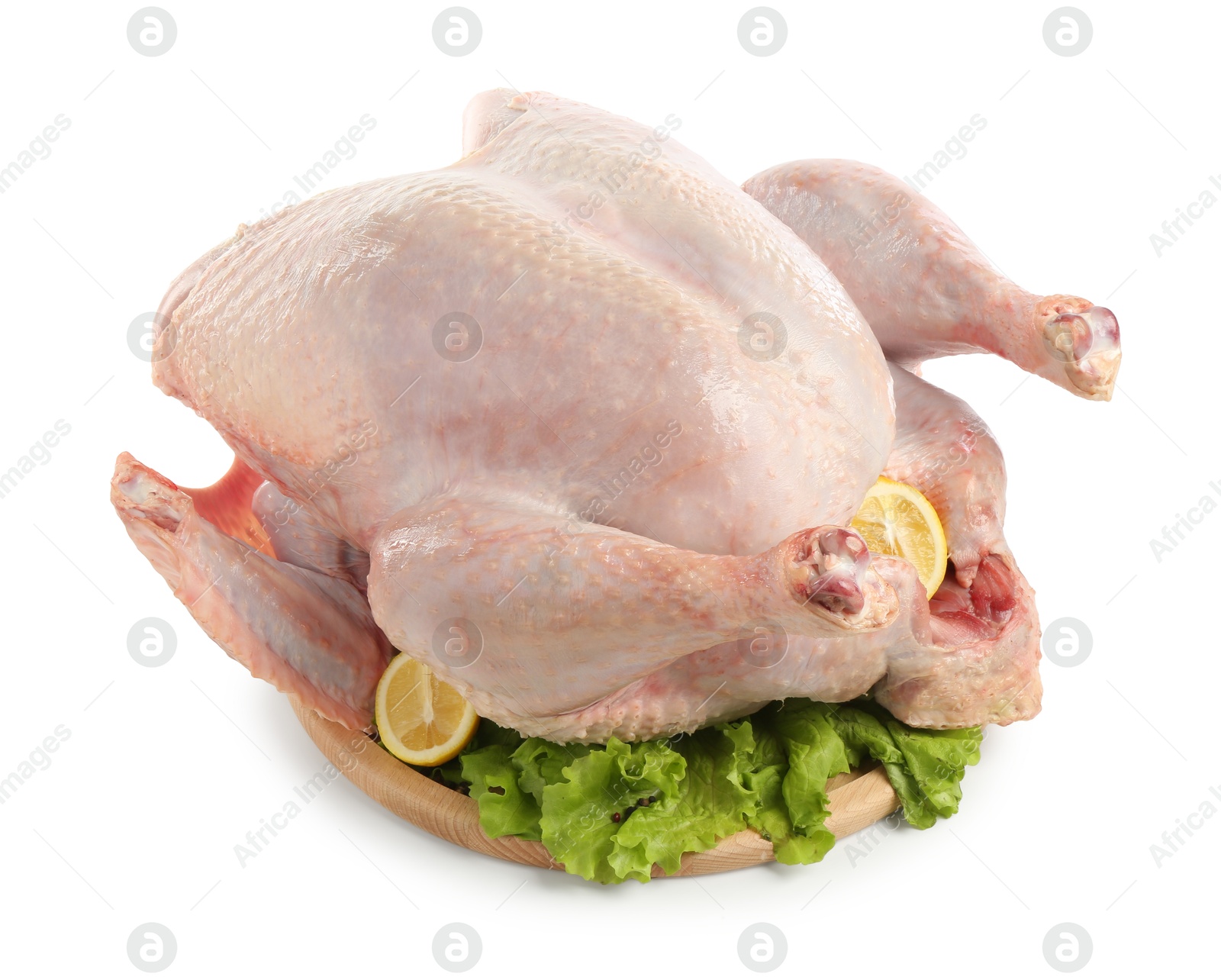 Photo of Whole raw turkey and ingredients isolated on white