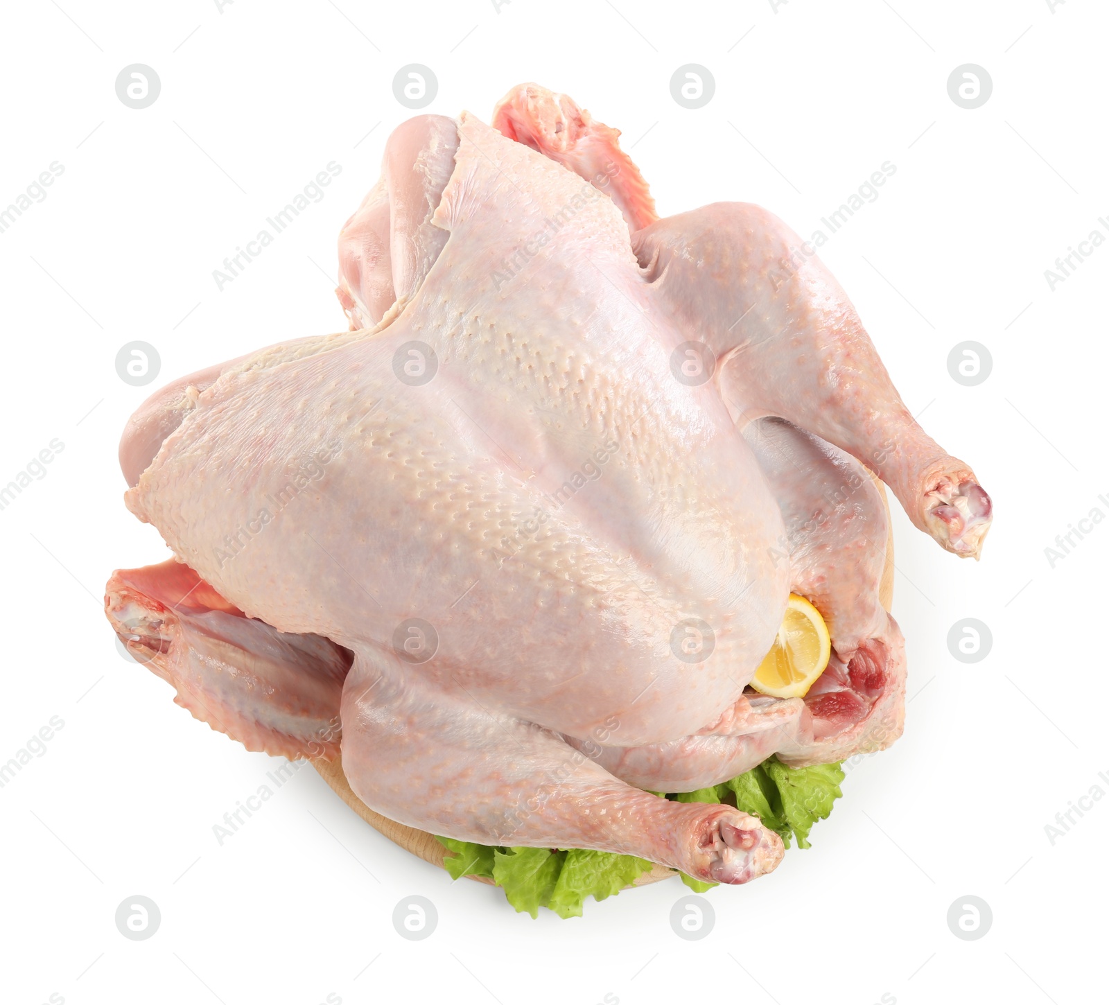 Photo of Whole raw turkey and ingredients isolated on white, top view