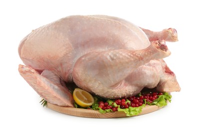 Photo of Whole raw turkey, cranberries and lemon isolated on white