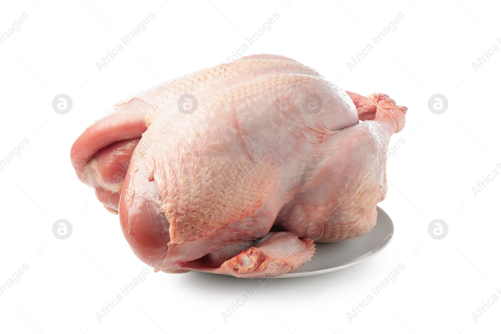 Photo of One whole raw turkey isolated on white