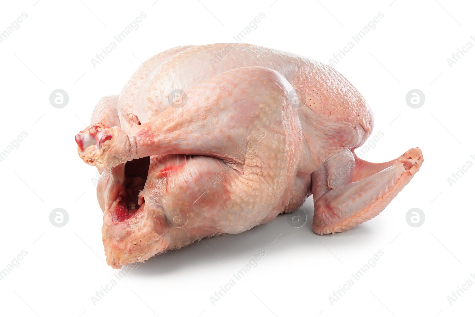 Photo of One whole raw turkey isolated on white