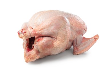 Photo of One whole raw turkey isolated on white