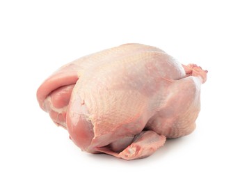 One whole raw turkey isolated on white