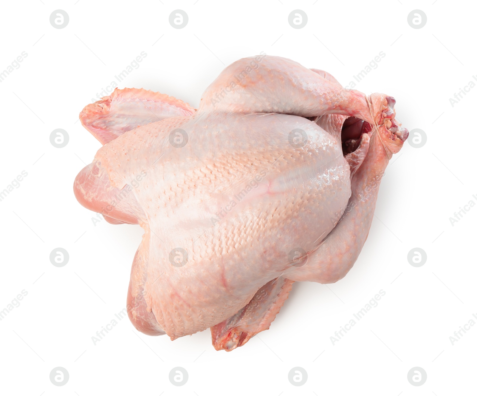 Photo of One whole raw turkey isolated on white, top view