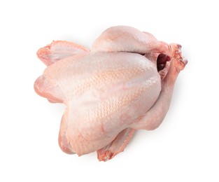 Photo of One whole raw turkey isolated on white, top view