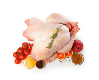 Photo of Whole raw turkey with ingredients isolated on white, top view