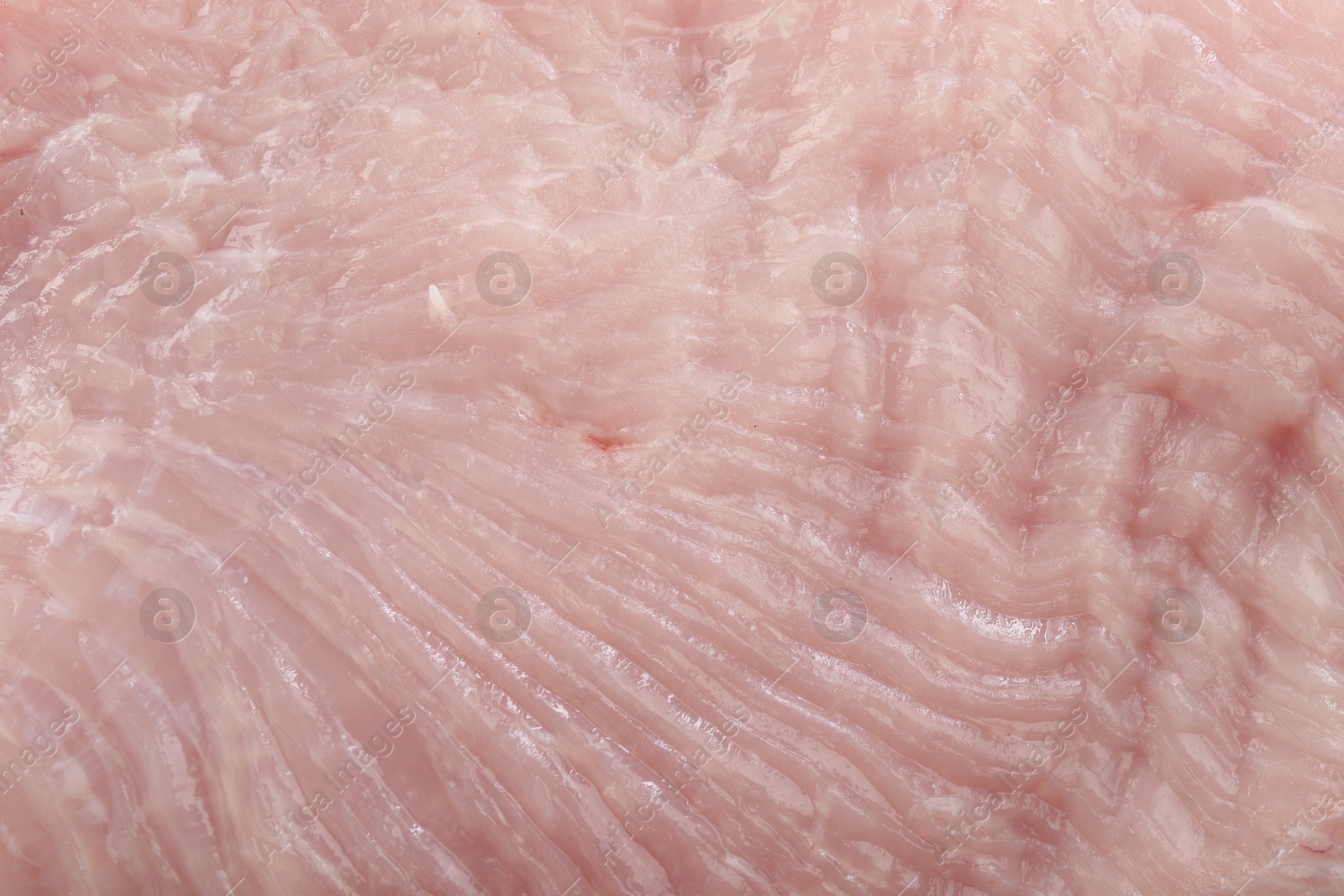 Photo of Raw turkey meat as background, closeup view