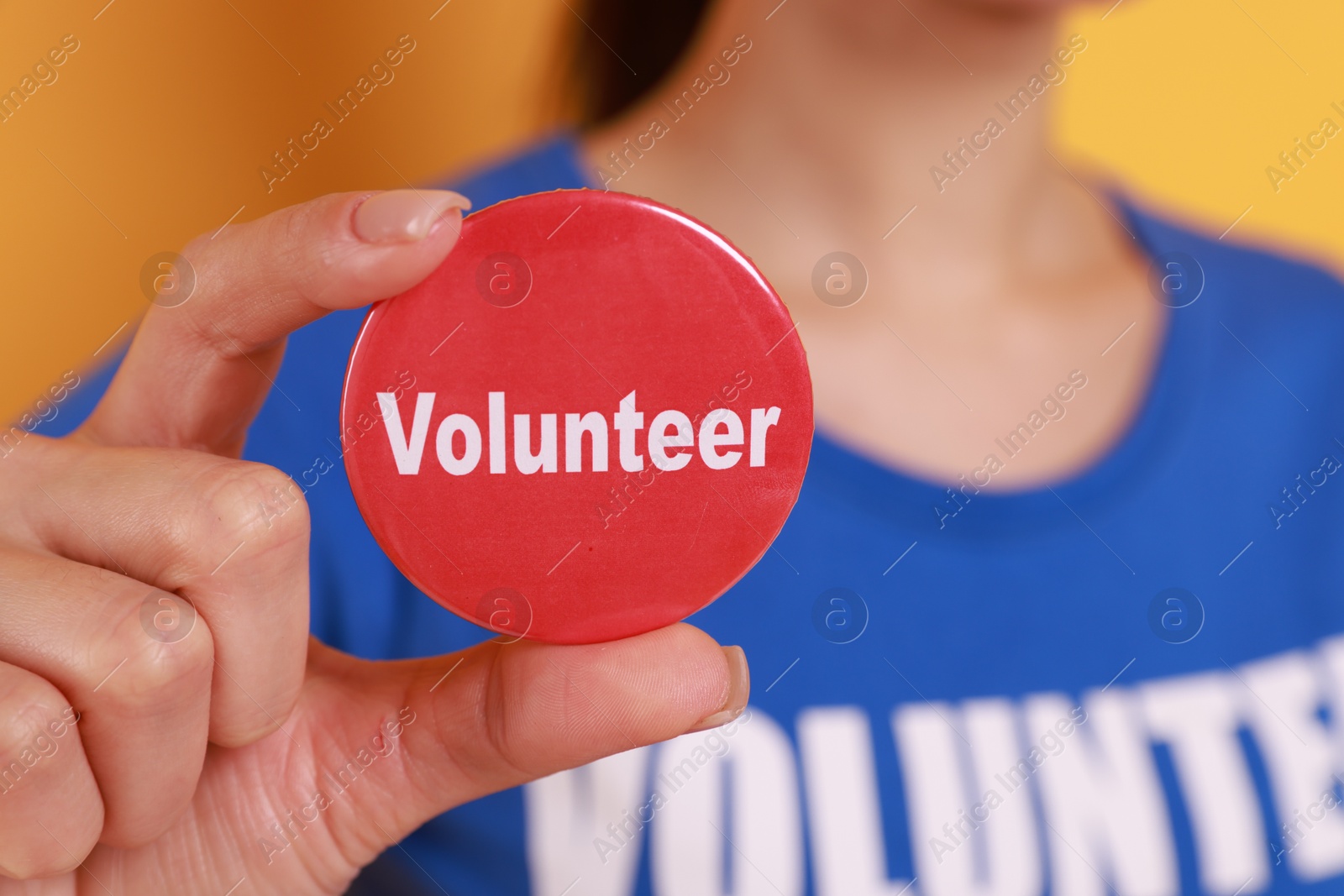 Photo of Woman showing red button badge with word Volunteer on orange background, closeup