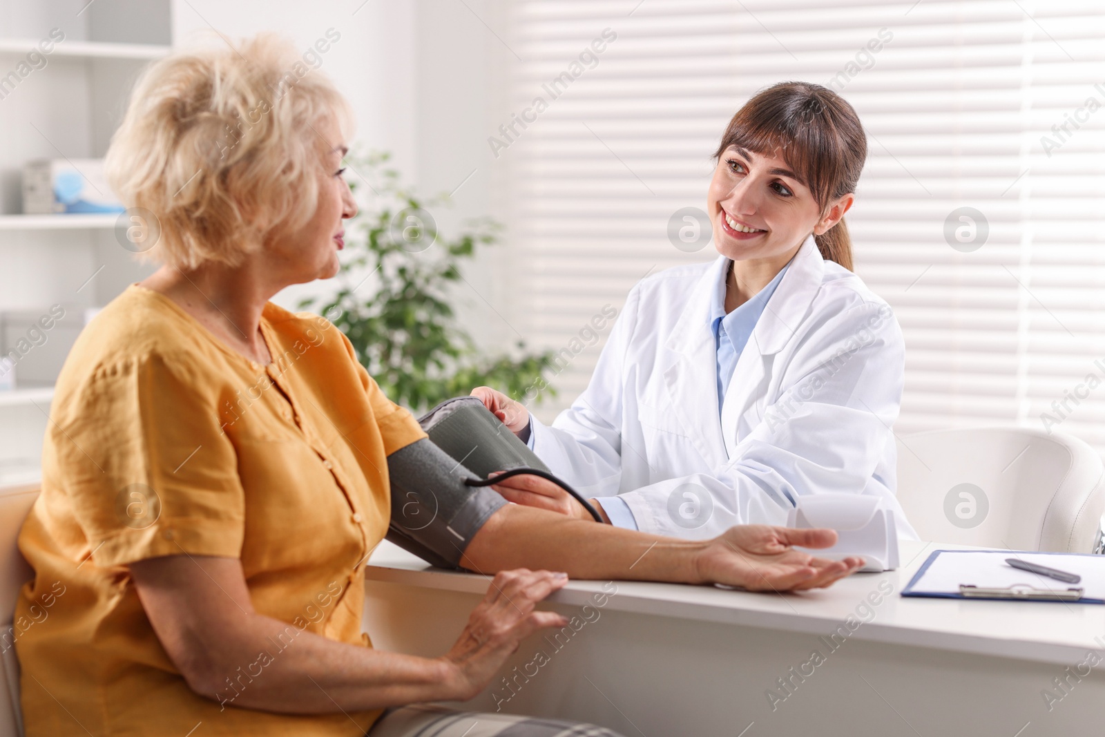 Photo of Doctor measuring senior woman's blood pressure during appointment in hospital