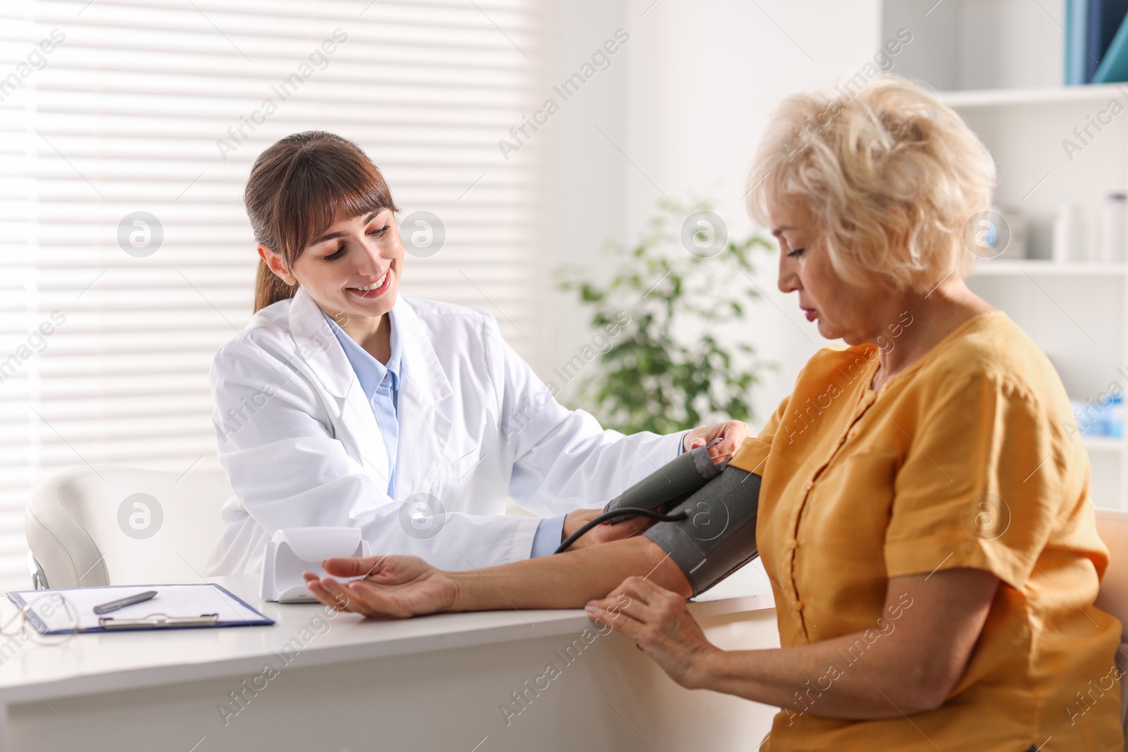 Photo of Doctor measuring senior woman's blood pressure during appointment in hospital