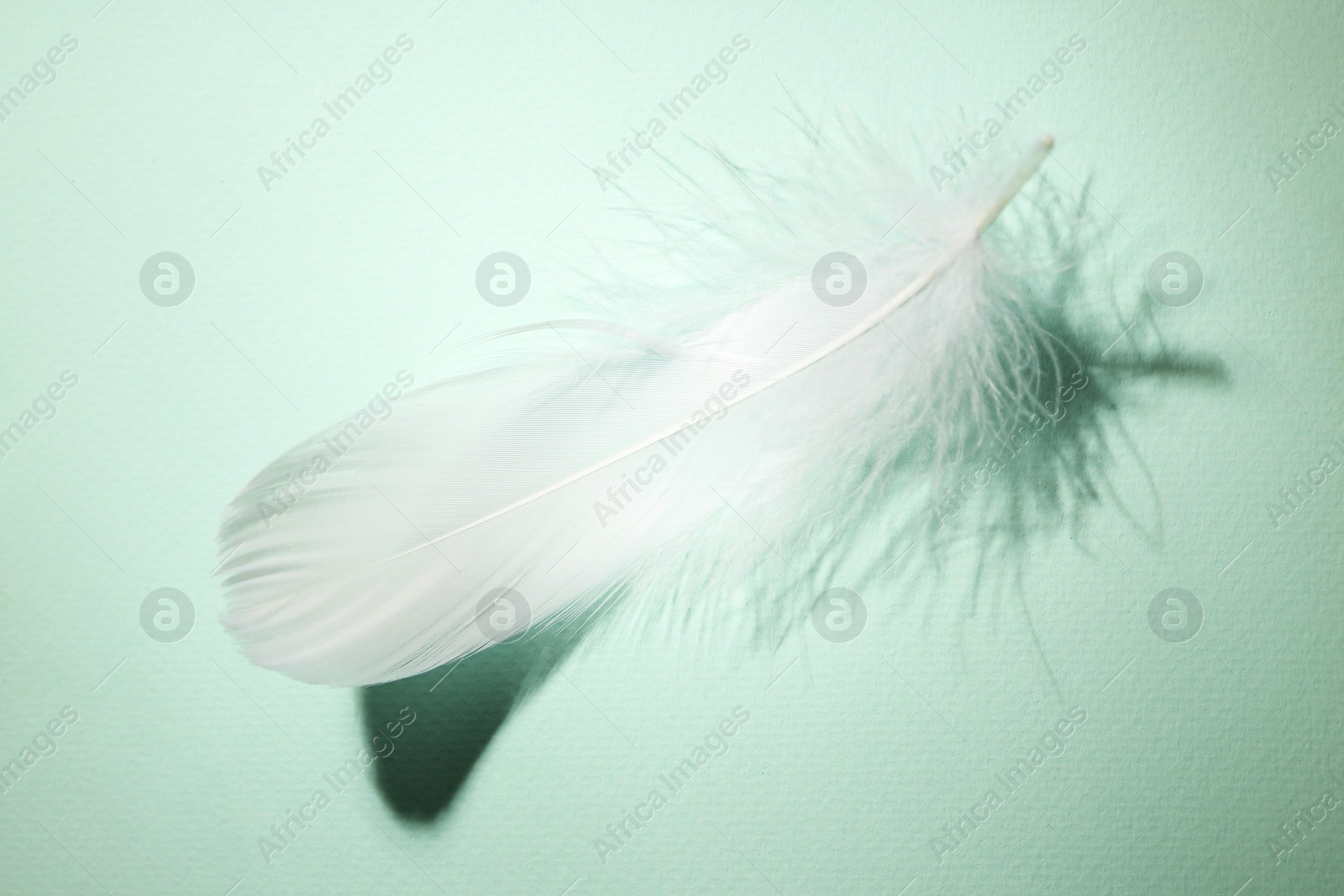 Photo of Fluffy white feather on light turquoise background, top view