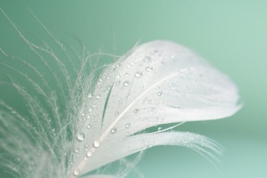 Photo of Fluffy white feather with water drops on light turquoise background, closeup