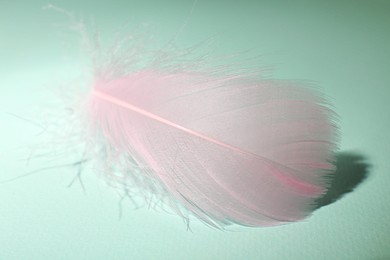 Photo of Fluffy pink feather on light turquoise background, closeup