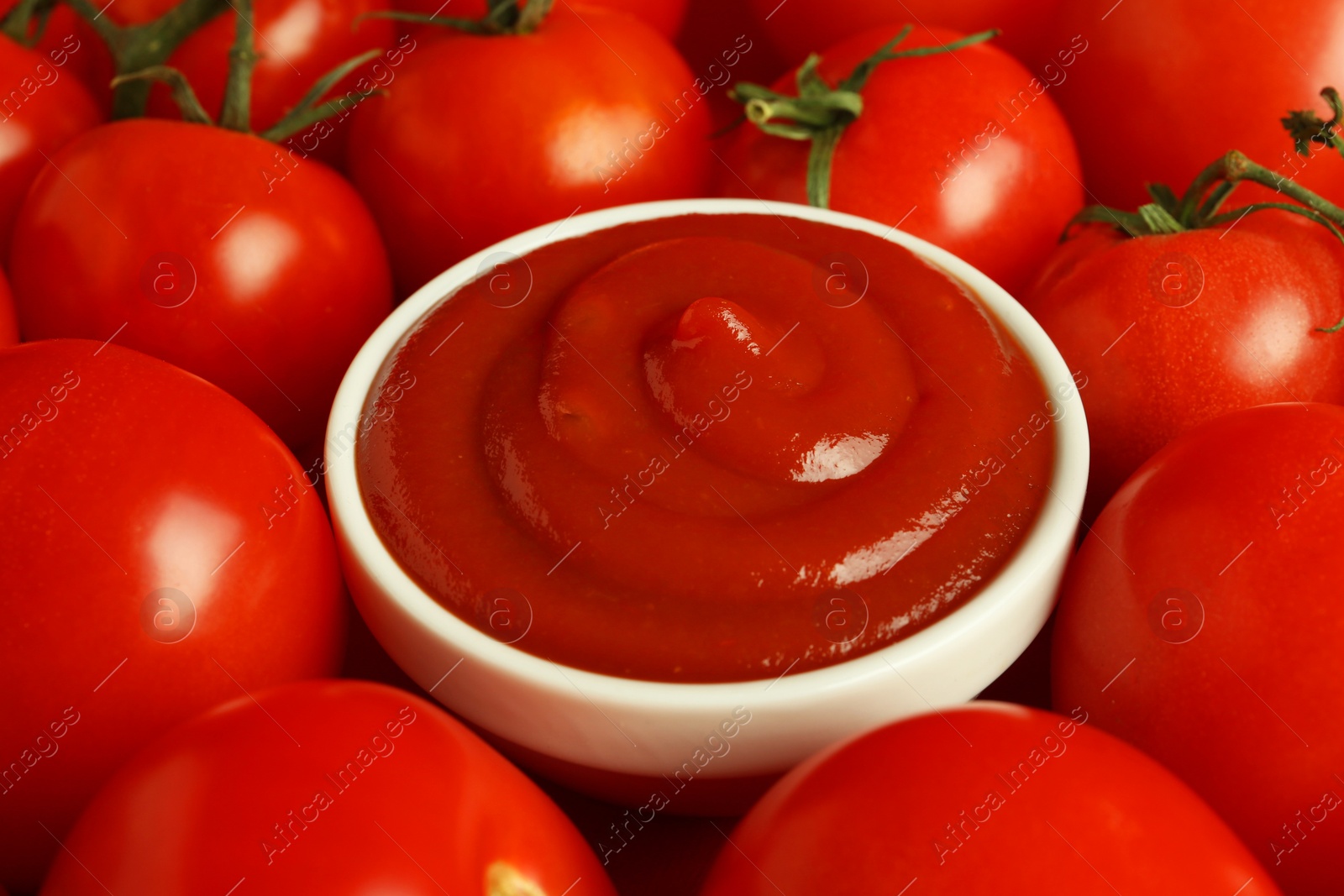 Photo of Ketchup in bowl and fresh tomatoes, closeup