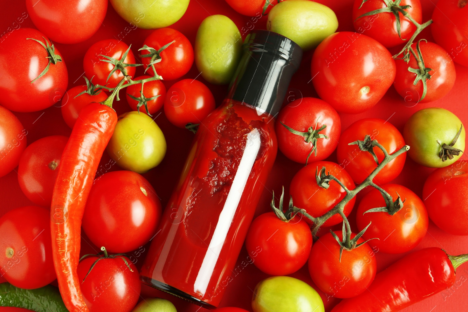 Photo of Tasty ketchup in bottle, chili and fresh tomatoes on red background, top view