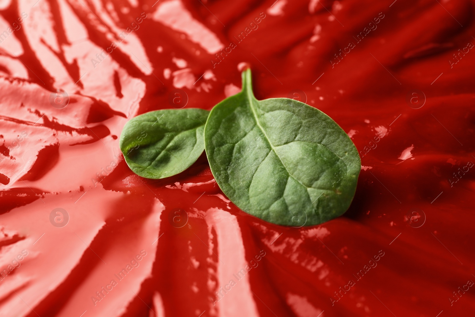 Photo of Tasty ketchup and basil as background, closeup