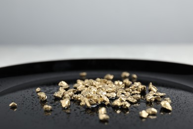 Photo of Gold nuggets on wet black plate, closeup