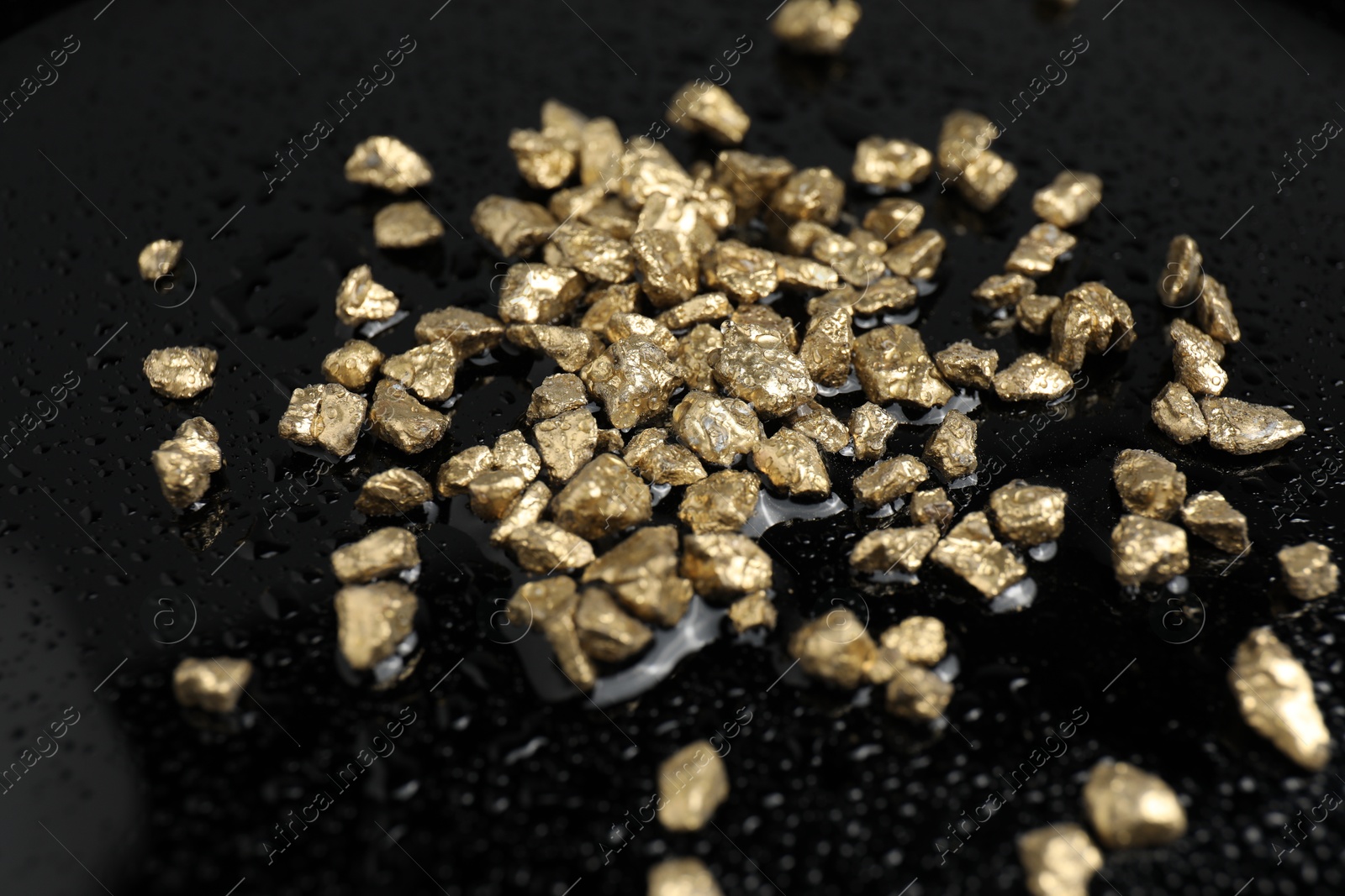 Photo of Gold nuggets on wet black surface, closeup