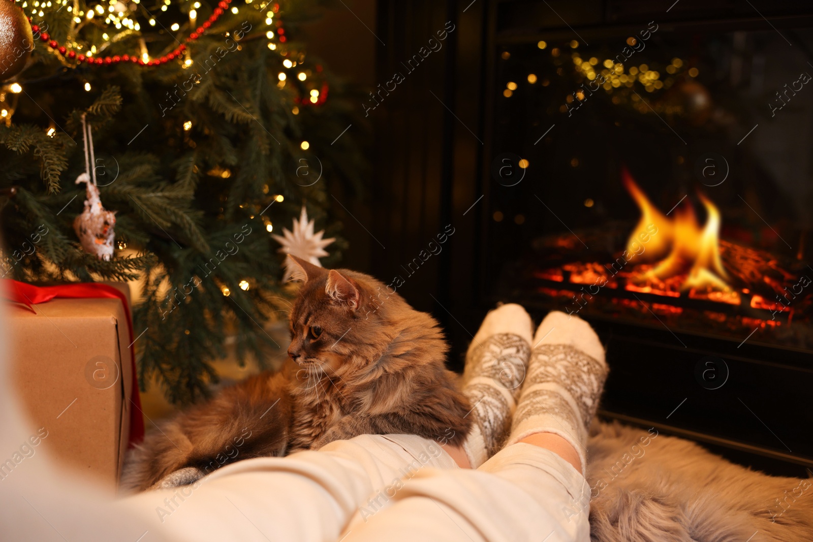 Photo of Woman and cute fluffy cat near fireplace in room decorated for Christmas, closeup