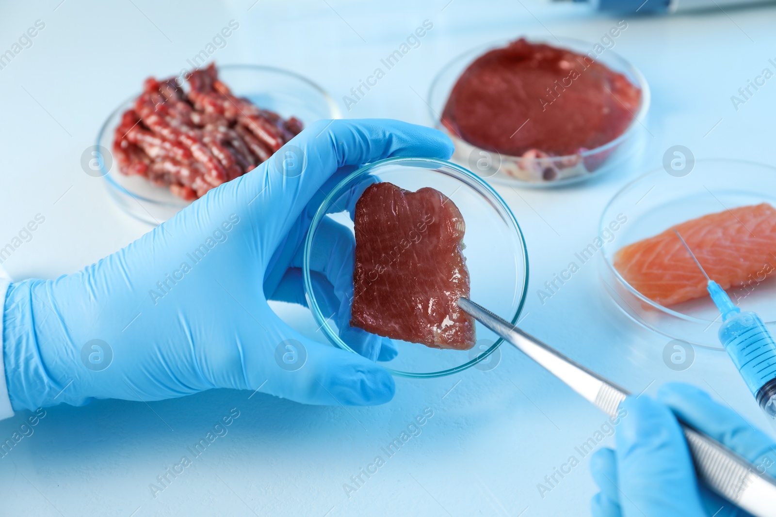 Photo of GMO concept. Scientist with piece of meat at table, closeup