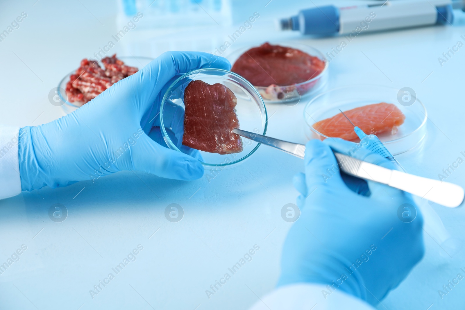 Photo of GMO concept. Scientist with piece of meat at table, closeup